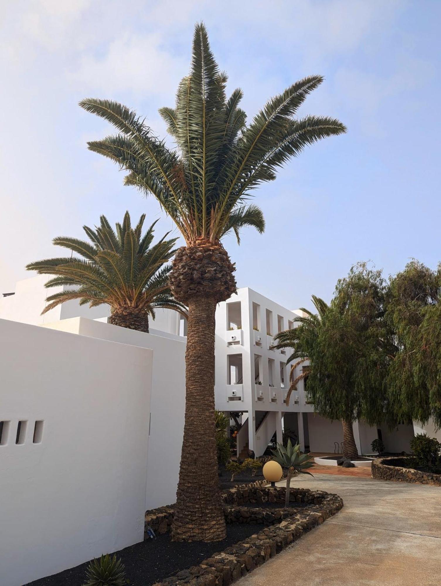 Charming Flat In Los Molinos With Terrace & Pools, Near Playa Bastian Costa Teguise Exteriör bild